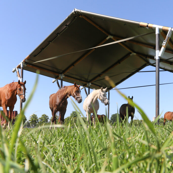 Schuilplaats XL 7.50 x7.00 mtr.