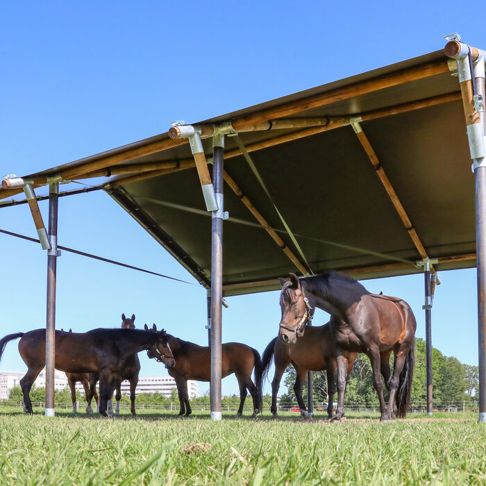 Schuilplaats XL 7.50 x7.00 mtr.