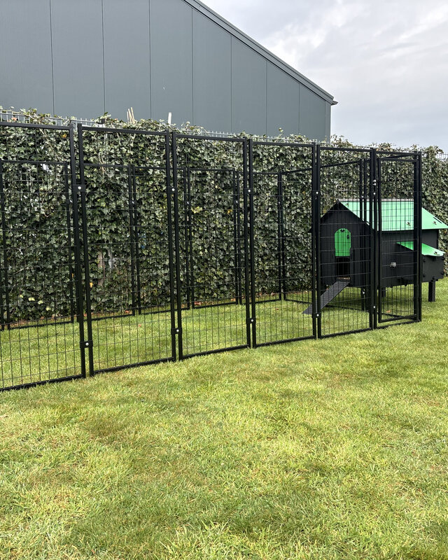 Pluverdi Grote kippenren 350x180x150 cm - past op Pluverdi kippenhokken