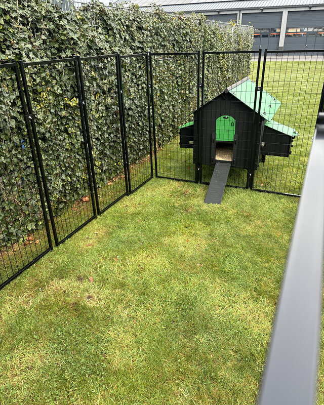 Pluverdi Grote kippenren 350x180x150 cm - past op Pluverdi kippenhokken