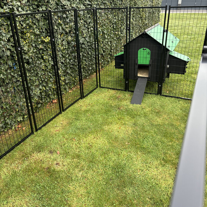 Pluverdi Grote kippenren 350x180x150 cm - past op Pluverdi kippenhokken