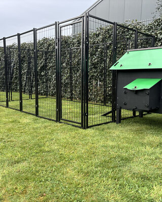 Pluverdi Grote kippenren 350x180x150 cm