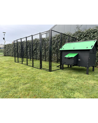 Pluverdi Grote kippenren 350x180x150 cm