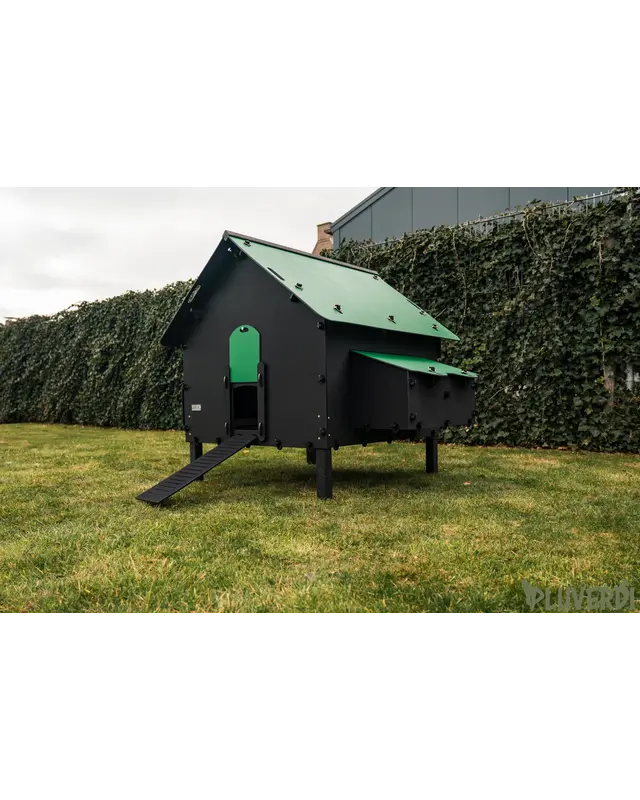 Pluverdi Pluverdi kippenhok Brussels (12-24 kippen)