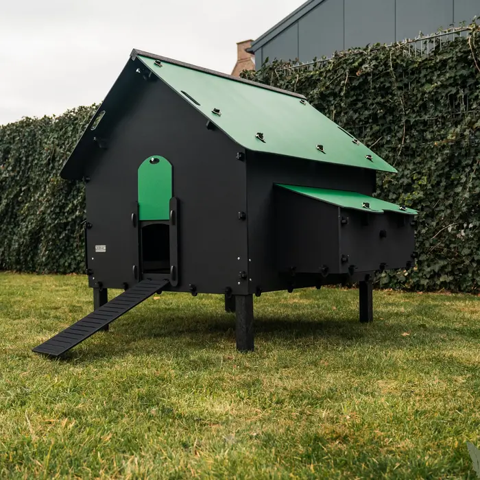 Pluverdi Pluverdi kippenhok Brussels (12-24 kippen)