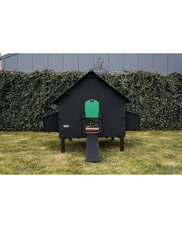 Pluverdi Pluverdi kippenhok Brussels (12-24 kippen)