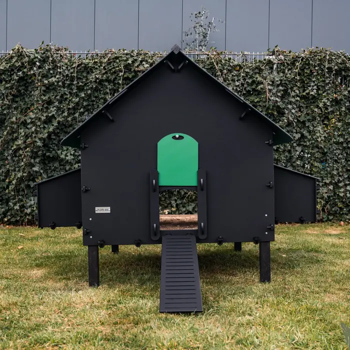 Pluverdi Pluverdi kippenhok Brussels (12-24 kippen)