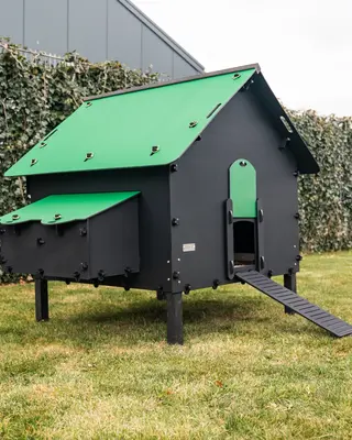 Pluverdi Pluverdi kippenhok Brussels (12-24 kippen)