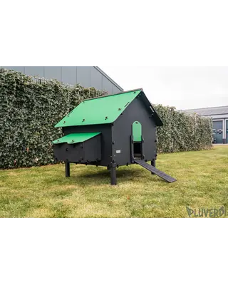 Pluverdi Pluverdi kippenhok Brussels (12-24 kippen)