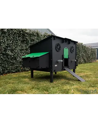 Pluverdi Pluverdi kippenhok Milan (10-20 kippen)