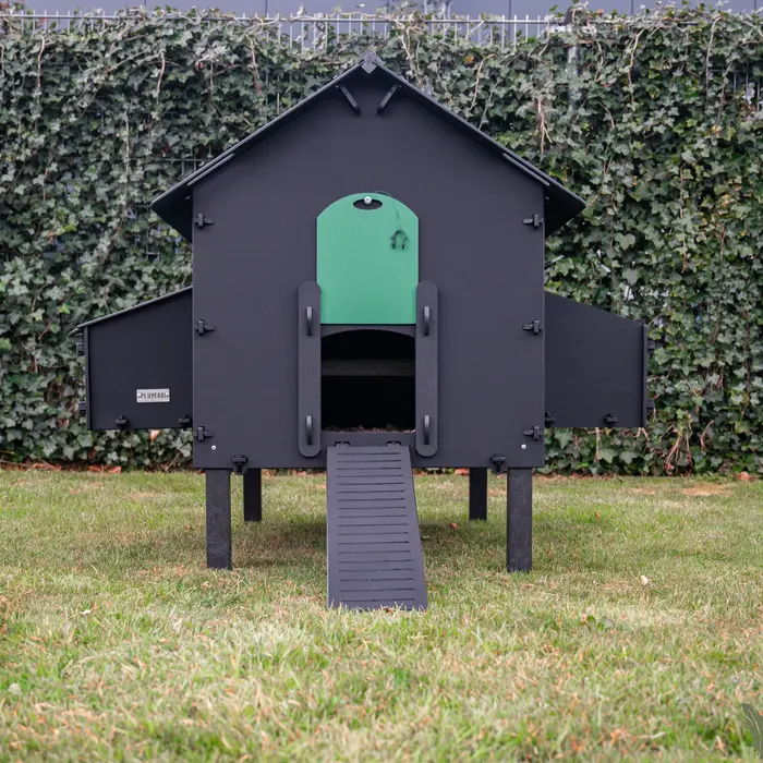 Pluverdi Pluverdi kippenhok Paris (8-16 kippen)