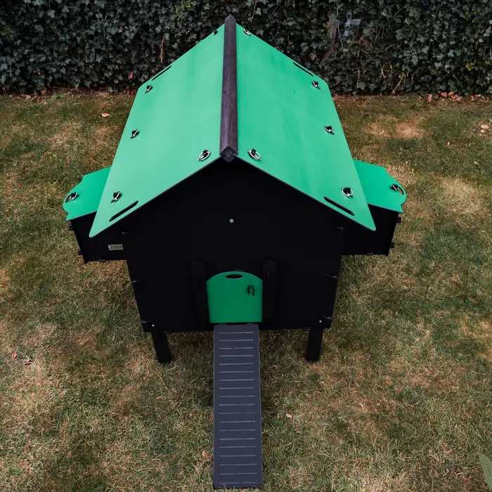 Pluverdi Pluverdi kippenhok Paris (8-16 kippen)