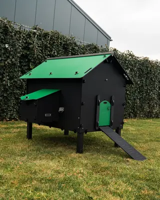 Pluverdi Pluverdi kippenhok Paris (8-16 kippen)