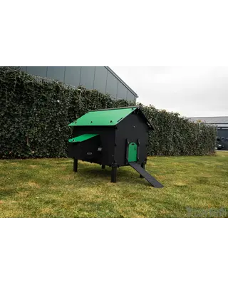 Pluverdi Pluverdi kippenhok Paris (8-16 kippen)