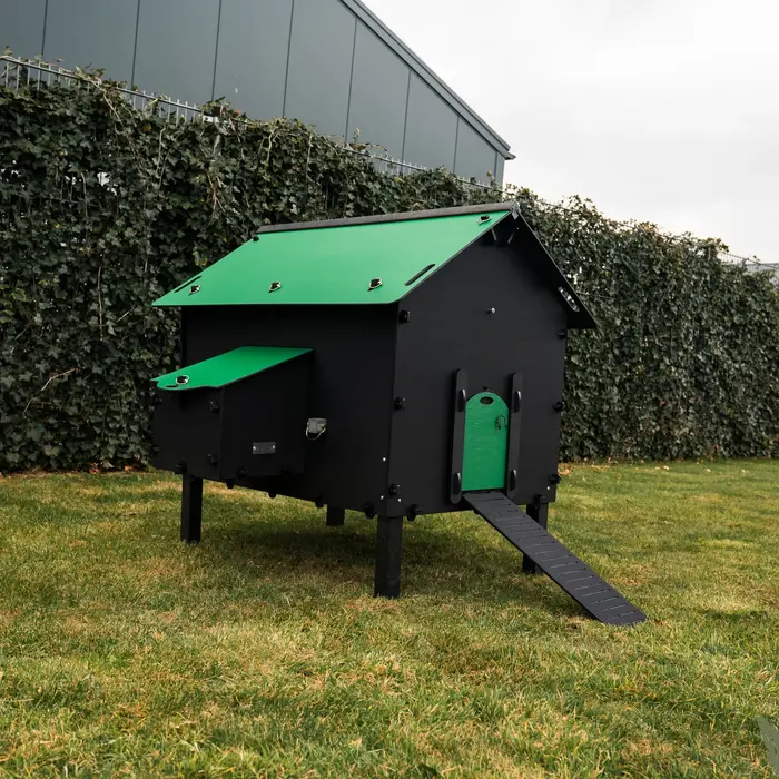 Pluverdi Pluverdi kippenhok Paris (8-16 kippen)