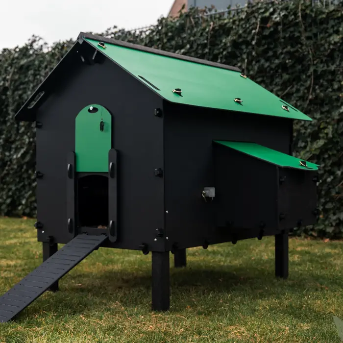 Pluverdi Pluverdi kippenhok Paris (8-16 kippen)