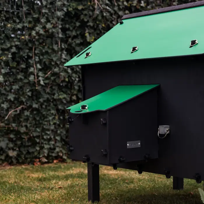 Pluverdi Pluverdi kippenhok Paris (8-16 kippen)