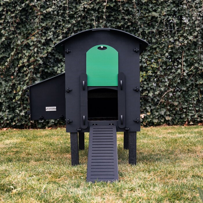 Pluverdi Pluverdi kippenhok Amsterdam (3-6 kippen)