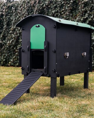Pluverdi Pluverdi kippenhok Amsterdam (3-6 kippen)
