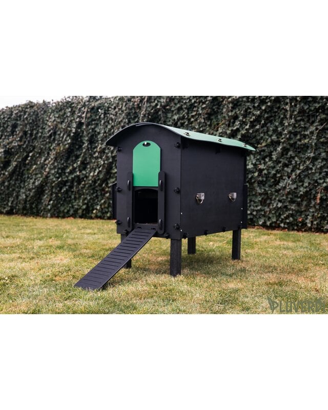 Pluverdi Pluverdi kippenhok Amsterdam (3-6 kippen)