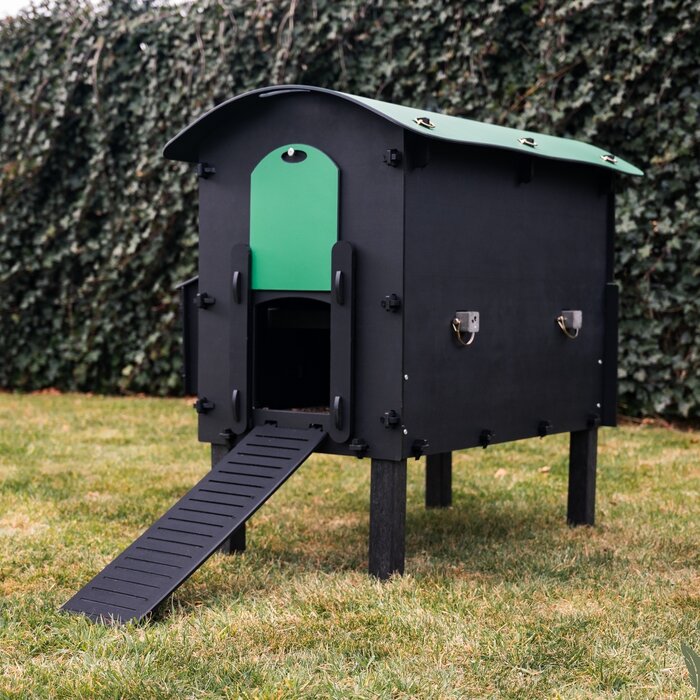 Pluverdi Pluverdi kippenhok Amsterdam (3-6 kippen)