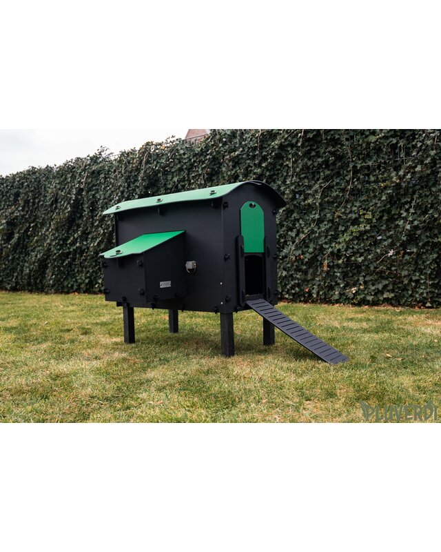 Pluverdi Pluverdi kippenhok Amsterdam (3-6 kippen)