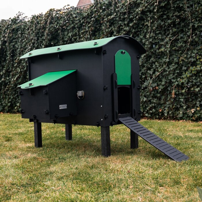 Pluverdi Pluverdi kippenhok Amsterdam (3-6 kippen)