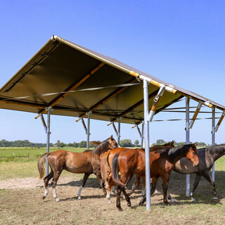 Schuilplaats XXL 10.00 mtr  x7.00 mtr.