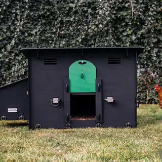 Pluverdi Pluverdi kippenhok Berlin (3-6 kippen)