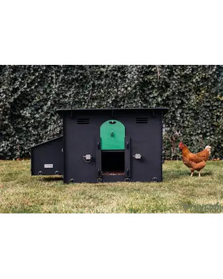 Pluverdi Pluverdi kippenhok Berlin (3-6 kippen)