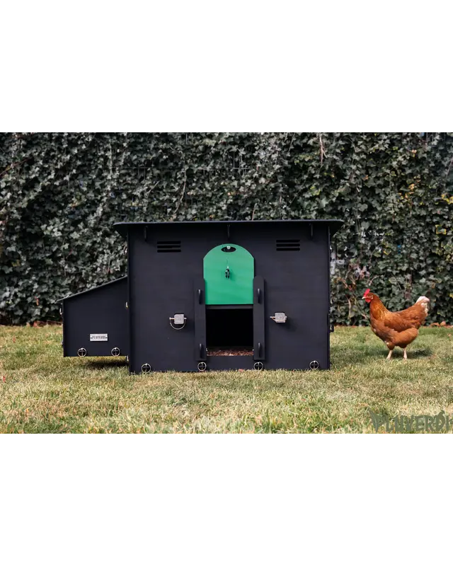 Pluverdi Pluverdi kippenhok Berlin (3-6 kippen)