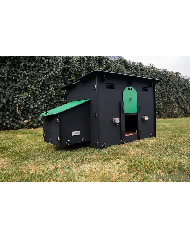 Pluverdi Pluverdi kippenhok Berlin (3-6 kippen)