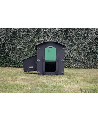 Pluverdi Pluverdi kippenhok Madrid (3-6 kippen)