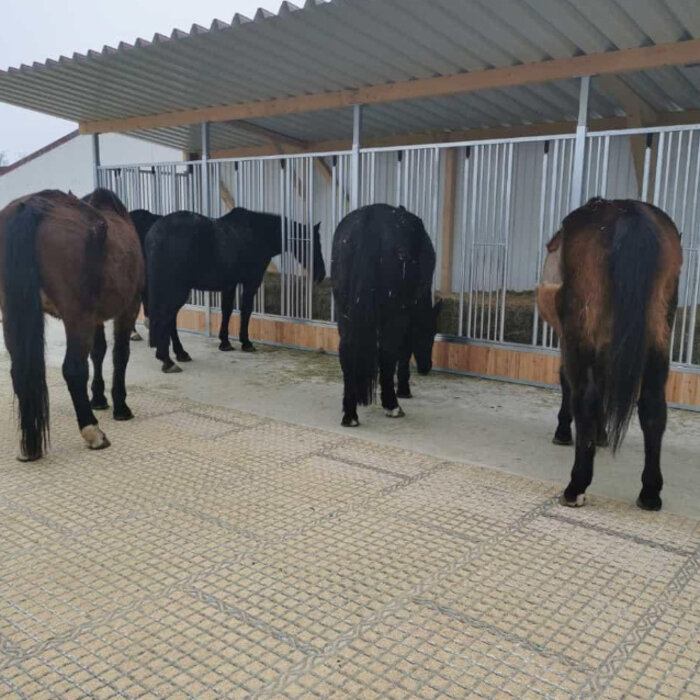 Animal Fences Paddocktegel AF40-MUD