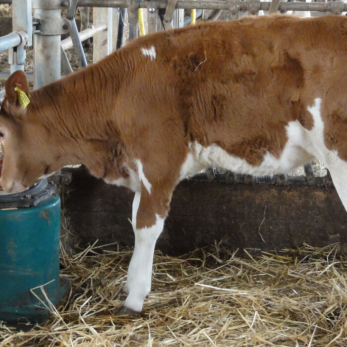 Vlotterbak 43A, verwarmbaar