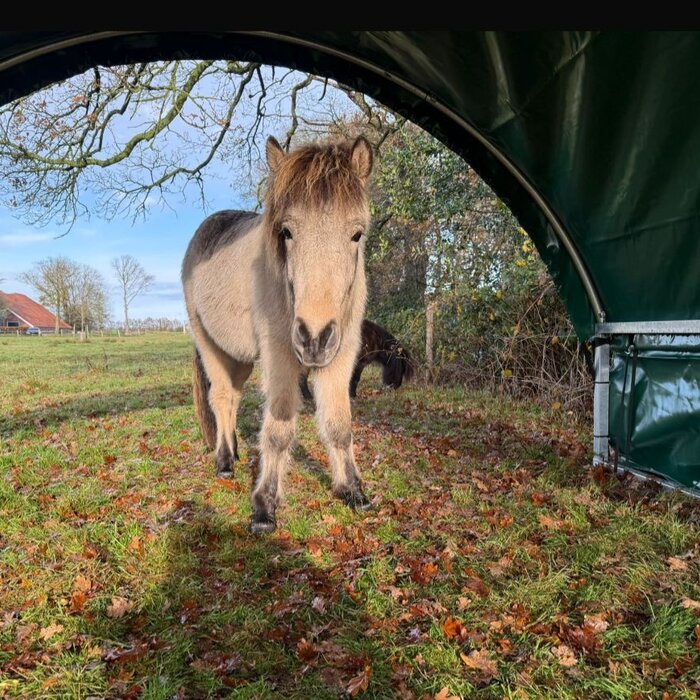 Animal Fences Mobiele schuilstal  600x360x205 cm - incl. dakzeil
