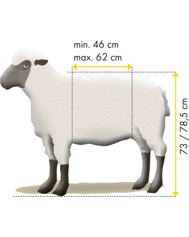 Patura Vastzet- en behandelbox, type L