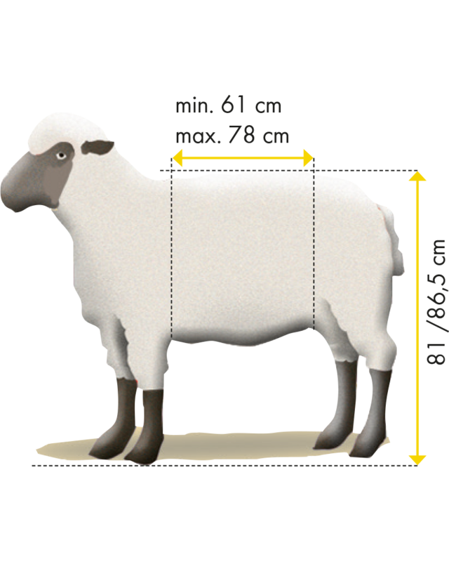 Patura Vastzet- en behandelbox, type XL