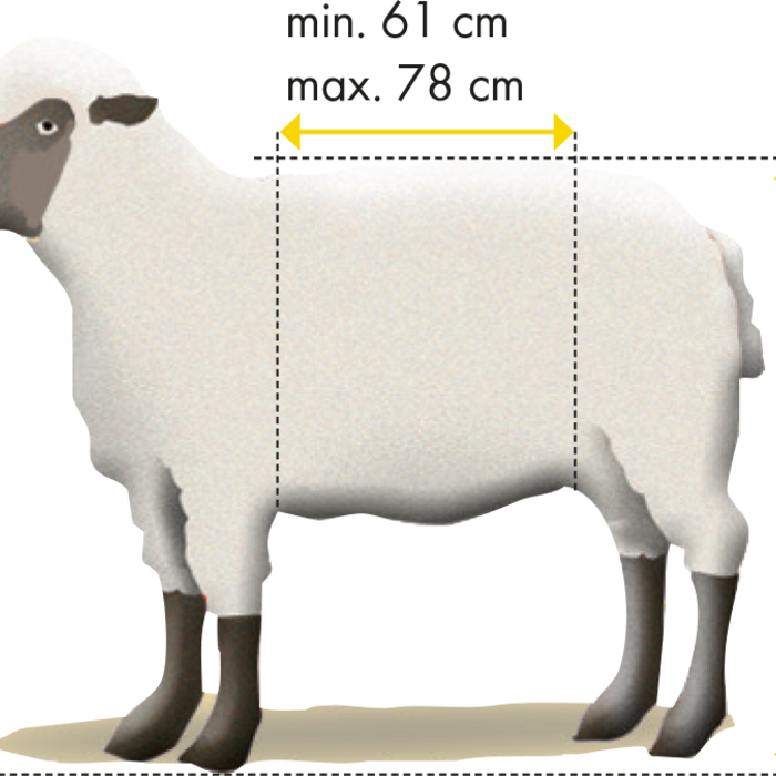 Patura Vastzet- en behandelbox, type XL