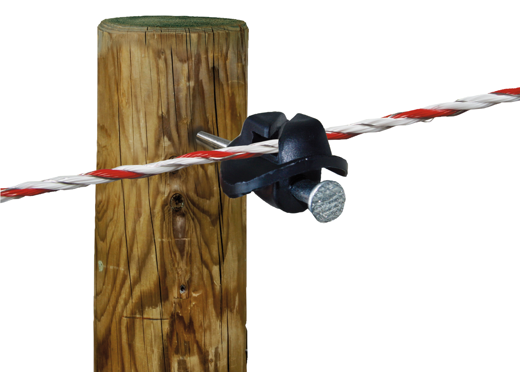 Patura Spijkerisolator voor lint en draad (100 stuk / pak)