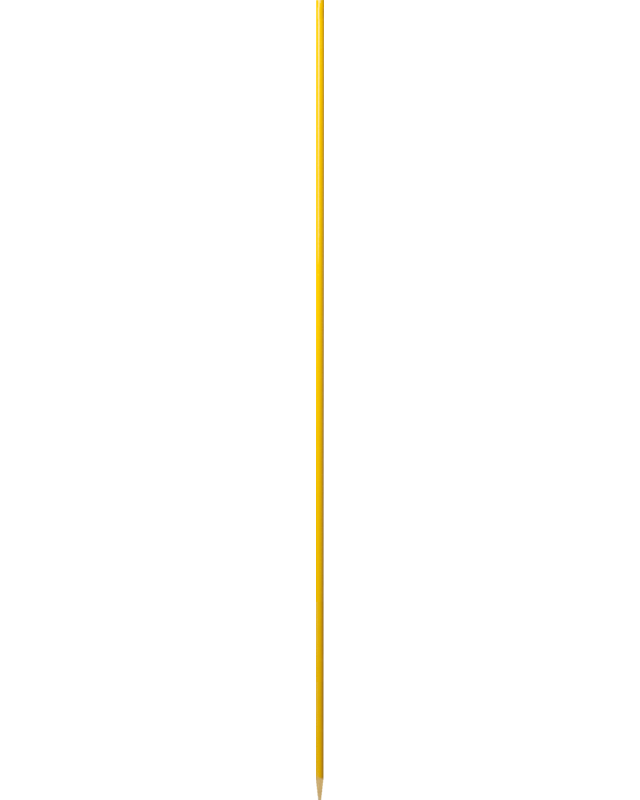 Patura Glasvezelpaal 12 mm, 1,15 m zonder intrap (10 stuk / pak)