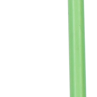 Patura Reservepaal schrikdraadnet 1,20 cm, met dubbele punt