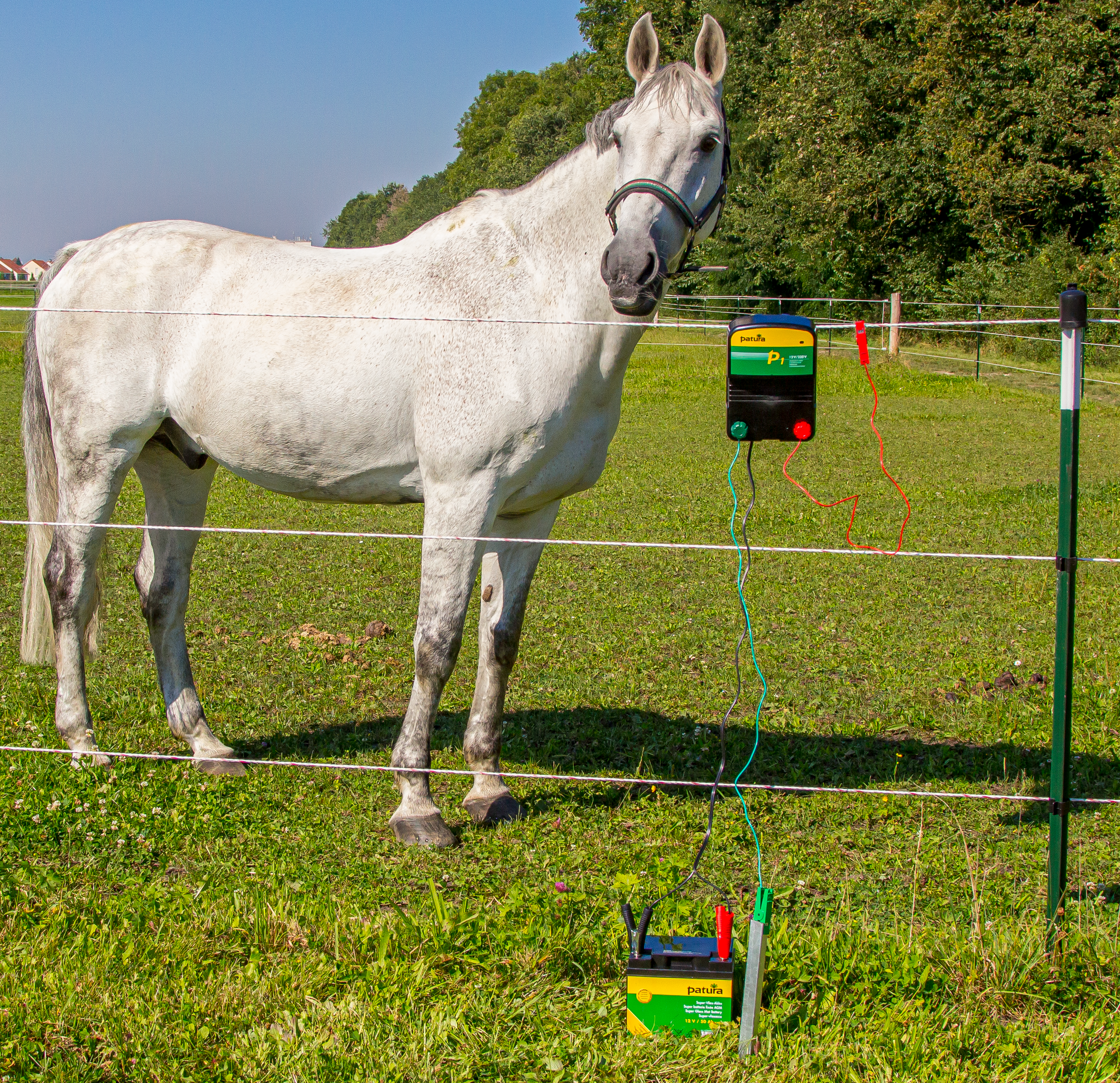 Patura P2 combiapparaat 230V/12V