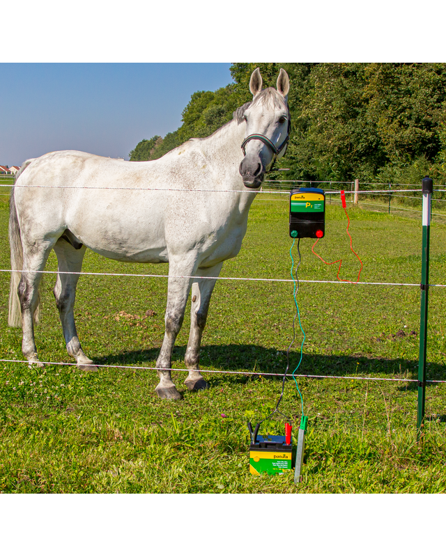 Patura P3 combiapparaat 230V/12V