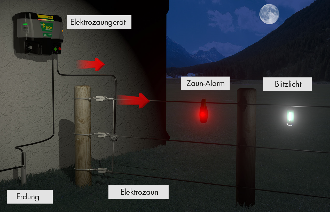Patura Afrasteringalarm