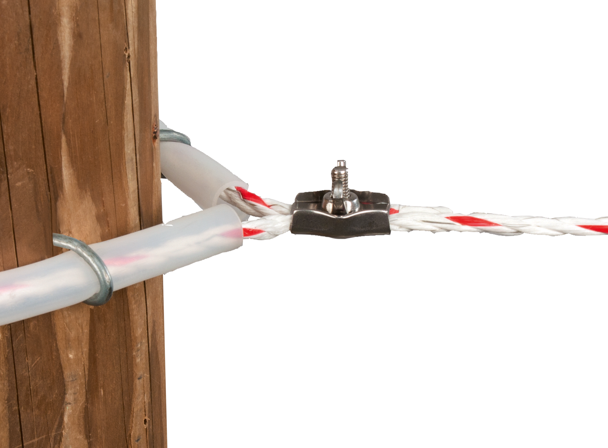 Patura Cordklem r.v.s.met vleugelmoer tot 6 mm  (5 st./pak)