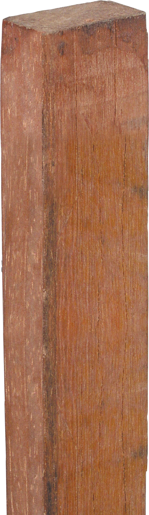 Patura PATURA Hardhouten lat, isolerend 1,24 m (38 x 26 mm)