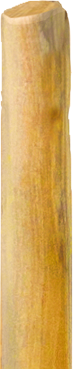 Patura Robinia paal, 1500 mm, d=6-8 cn