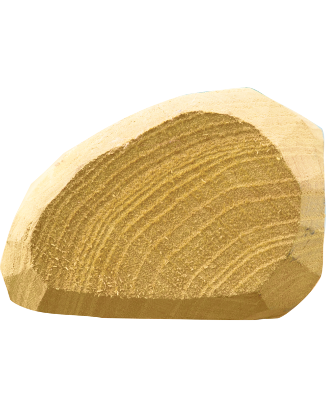 Patura Robinia paal, 1500 mm, d=6-8 cn