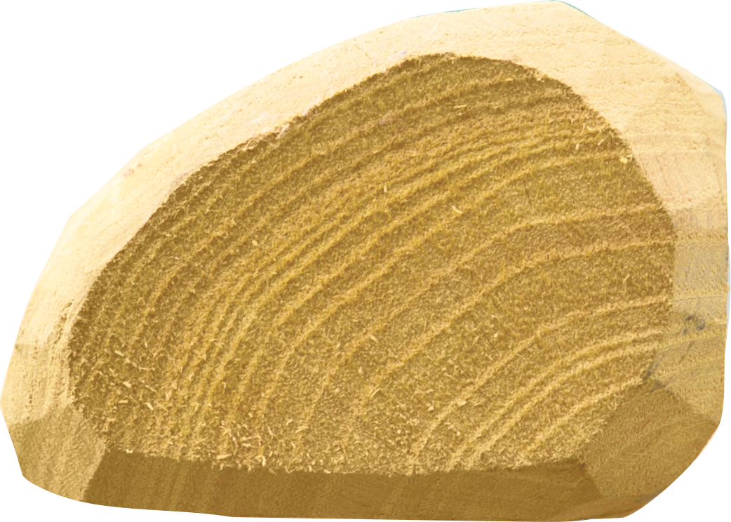 Patura Robinia paal, 1500 mm, d=6-8 cn